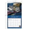 Love of Cats Kalender 2025