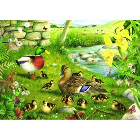 The House of Puzzles Ducks To Water Puzzle 500 Pieces XL