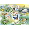 Gefiederte Freunde Puzzle 250 Teile XL