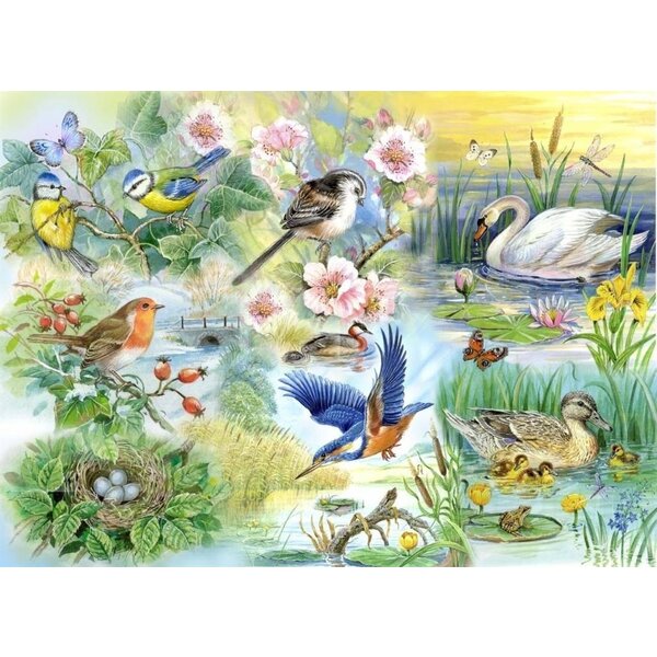 The House of Puzzles Feathered Friends Puzzel 250 Stukjes XL
