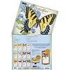 Butterflies Kalender 2025