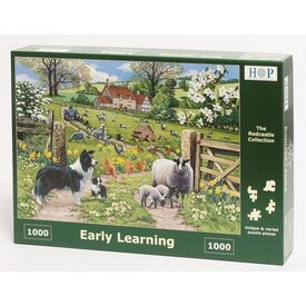 The House of Puzzles Early Learning Puzzle 1000 pieces