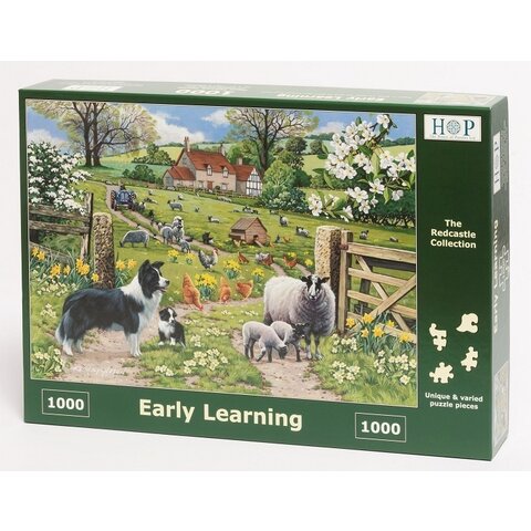 Early Learning Puzzle 1000 Stück