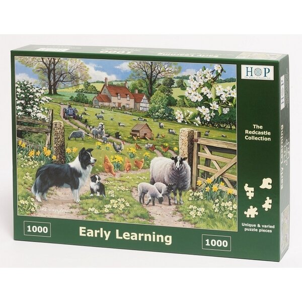 The House of Puzzles Early Learning Puzzel 1000 stukjes