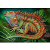 Incredible Iguana Puzzel 500 Stukjes