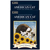 American Cat Zakagenda 2025