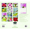 Beauty in Bloom Kalender 2025