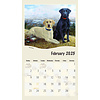 Must Love Dogs Kalender 2025