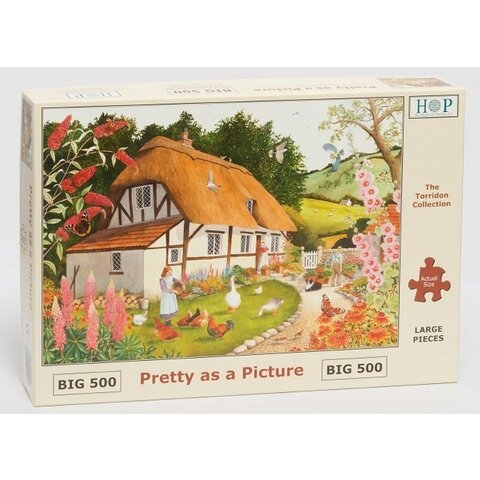 Pretty as a picture puzzle pieces 500 XL