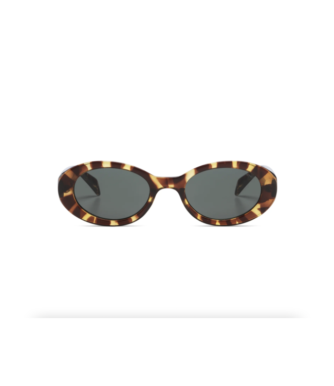 Ana Tortoise