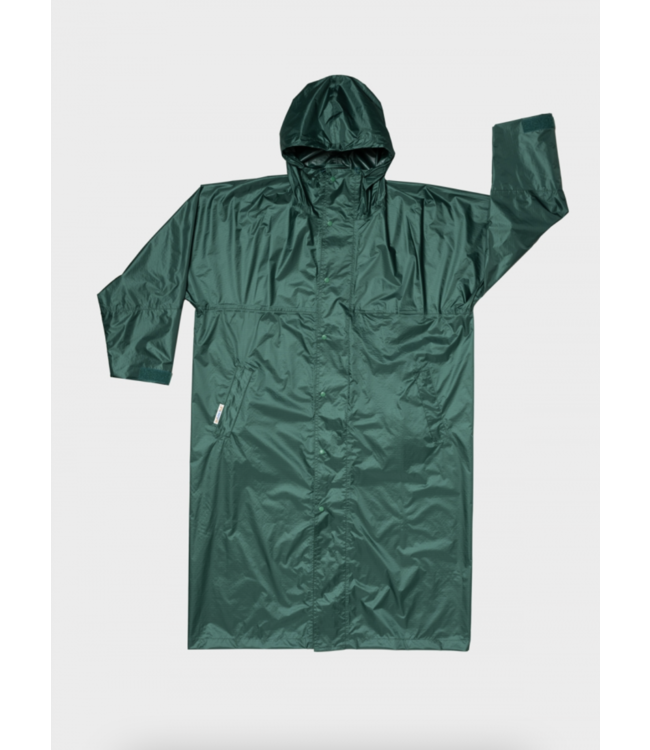 The New Raincoat Pine