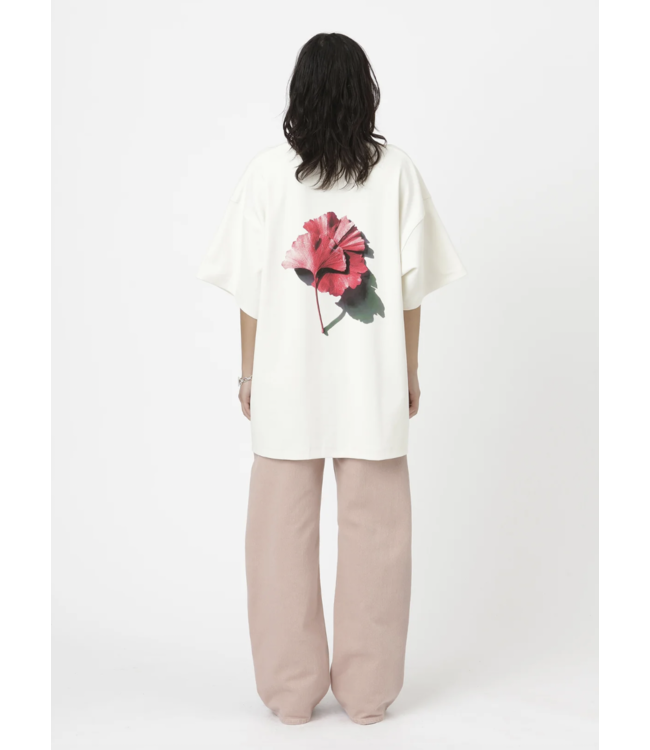 Janesville Leaf Cannoli Cream