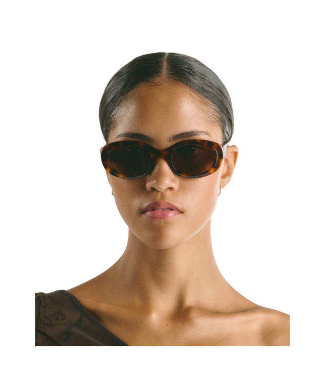 Carpi Tortoise brown