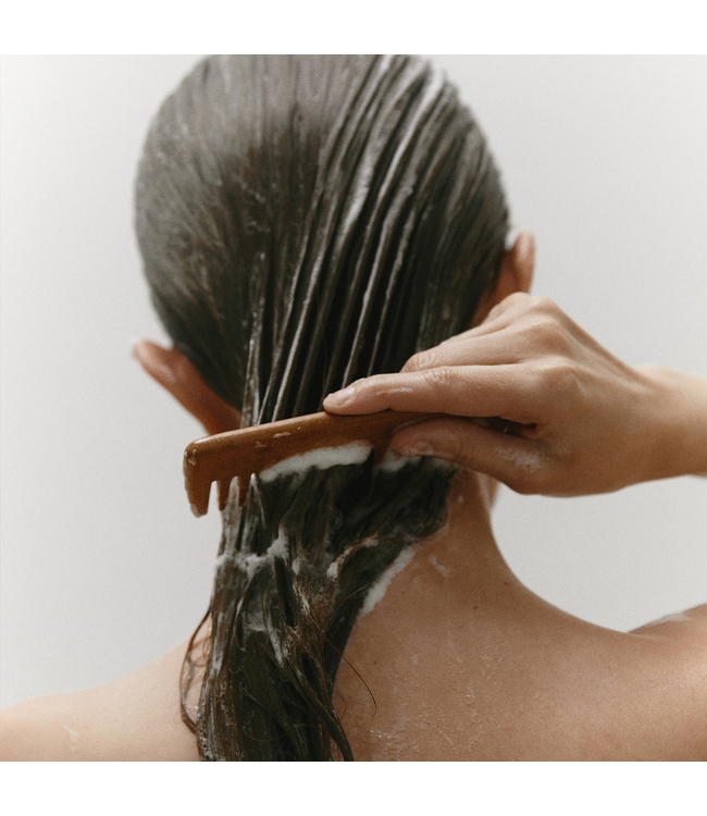 Conditioner 00.02