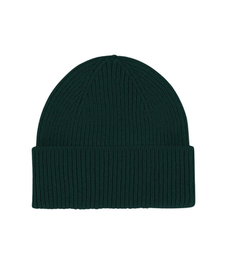 Colorful Standard Merino Wool Beanie Emerald Green