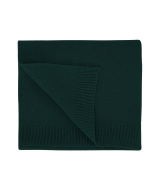 Colorful Standard Merino Wool Scarf Emerald Green