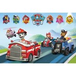 Poster Paw Patrol Voertuigen 61/91,5 cm