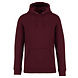 Native Spirit Native Spirit BIO Hoodie│UNI│Zware kwaliteit│Dark Cherry Native Spirit Native Spirit BIO Hoodie│UNI│Zware kwaliteit│Dark Cherry
