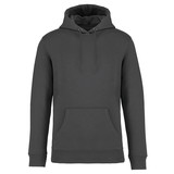 Native Spirit Native Spirit BIO Hoodie│UNI│Zware kwaliteit│Iron Grey Native Spirit Native Spirit BIO Hoodie│UNI│Zware kwaliteit│Iron Grey