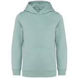 Native Spirit Native Spirit BIO Hoodie│KIDS│Zware kwaliteit│Jade Green Native Spirit Native Spirit BIO Hoodie│KIDS│Zware kwaliteit│Jade Green