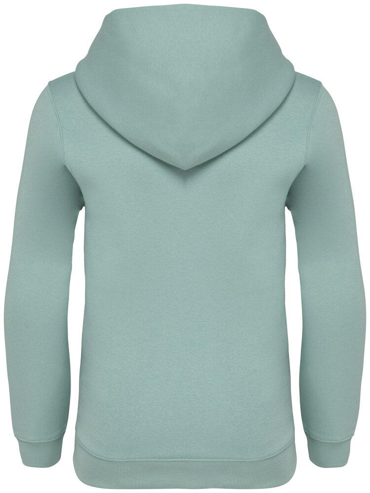 Native Spirit Native Spirit BIO Hoodie│KIDS│Zware kwaliteit│Jade Green