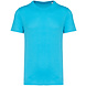 Native Spirit Native Spirit BIO T-Shirt│UNI│Light Turquoise Native Spirit Native Spirit BIO T-Shirt│UNI│Light Turquoise