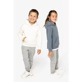 Native Spirit Native Spirit BIO Hoodie│KIDS│Zware kwaliteit│Moon Grey Heather