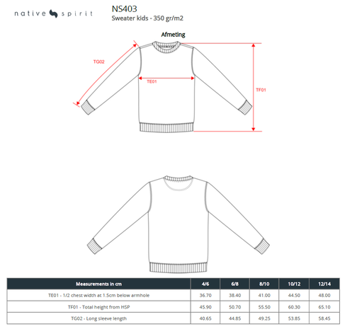 Native Spirit Native Spirit BIO Sweater│KIDS│Zware kwaliteit│Grey heather