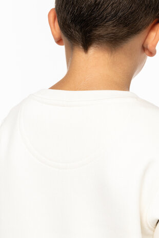 Native Spirit Native Spirit BIO Sweater│KIDS│Zware kwaliteit│Grey heather