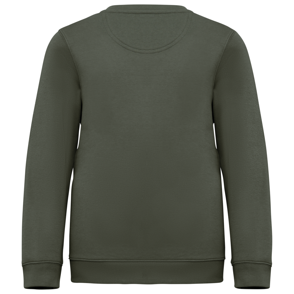 Native Spirit Native Spirit BIO Sweater│KIDS│Zware kwaliteit│Organic Khaki Native Spirit Native Spirit BIO Sweater│KIDS│Zware kwaliteit│Organic Khaki