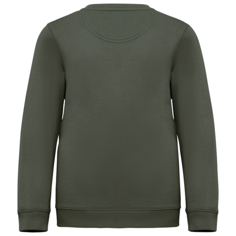 Native Spirit Native Spirit BIO Sweater│KIDS│Zware kwaliteit│Organic Khaki Native Spirit Native Spirit BIO Sweater│KIDS│Zware kwaliteit│Organic Khaki