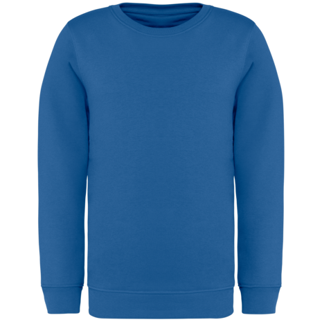 Native Spirit Native Spirit BIO Sweater│KIDS│Zware kwaliteit│Sea Blue Native Spirit Native Spirit BIO Sweater│KIDS│Zware kwaliteit│Sea Blue
