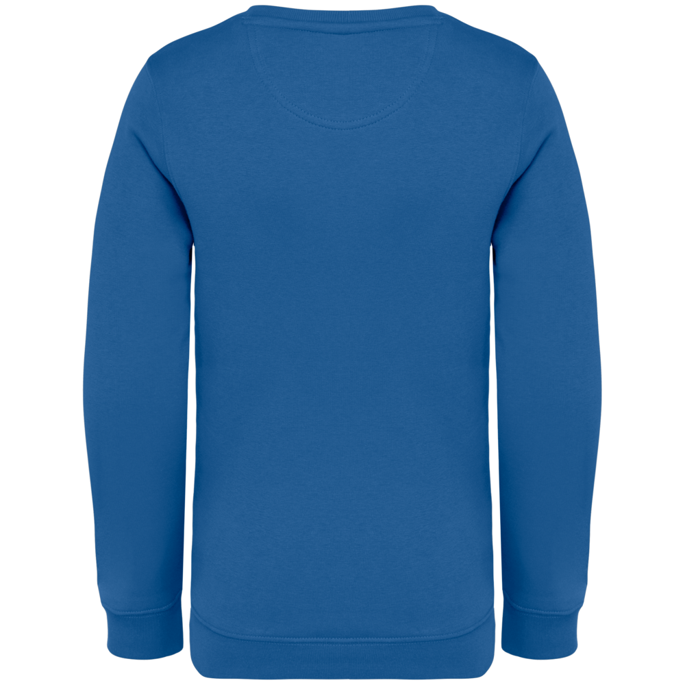 Native Spirit Native Spirit BIO Sweater│KIDS│Zware kwaliteit│Sea Blue Native Spirit Native Spirit BIO Sweater│KIDS│Zware kwaliteit│Sea Blue