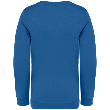 Native Spirit Native Spirit BIO Sweater│KIDS│Zware kwaliteit│Sea Blue Native Spirit Native Spirit BIO Sweater│KIDS│Zware kwaliteit│Sea Blue