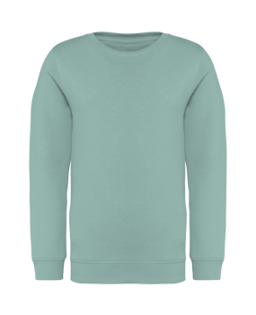 Native Spirit Native Spirit BIO Sweater│KIDS│Zware kwaliteit│Jade Green Native Spirit Native Spirit BIO Sweater│KIDS│Zware kwaliteit│Jade Green