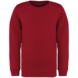 Native Spirit Native Spirit BIO Sweater│KIDS│Zware kwaliteit│Hibiscus Red Native Spirit Native Spirit BIO Sweater│KIDS│Zware kwaliteit│Hibiscus Red