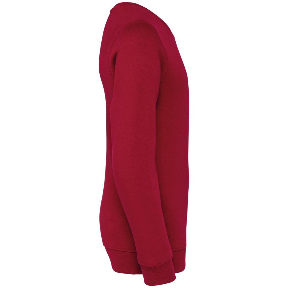 Native Spirit Native Spirit BIO Sweater│KIDS│Zware kwaliteit│Hibiscus Red Native Spirit Native Spirit BIO Sweater│KIDS│Zware kwaliteit│Hibiscus Red