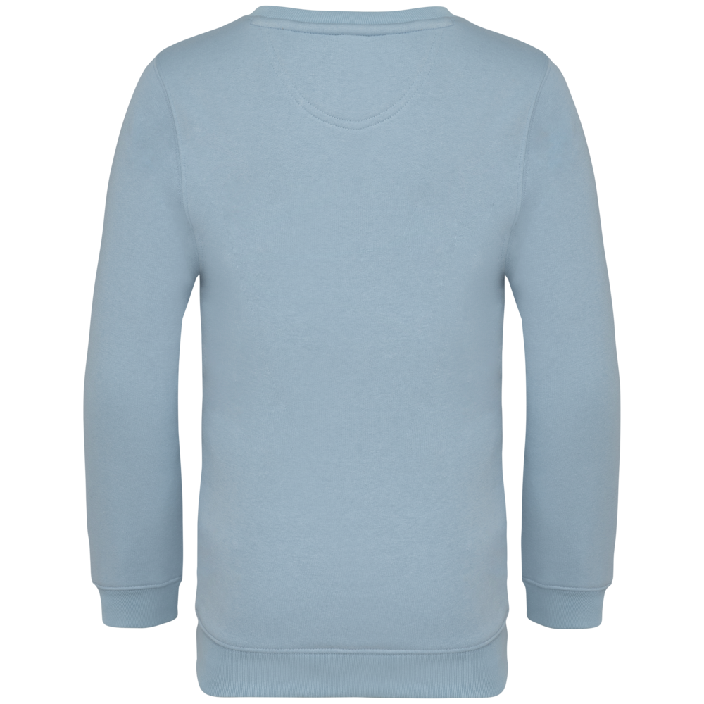 Native Spirit Native Spirit BIO Sweater│KIDS│Zware kwaliteit│Aquamarine Native Spirit Native Spirit BIO Sweater│KIDS│Zware kwaliteit│Aquamarine