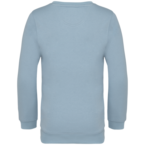 Native Spirit Native Spirit BIO Sweater│KIDS│Zware kwaliteit│Aquamarine Native Spirit Native Spirit BIO Sweater│KIDS│Zware kwaliteit│Aquamarine
