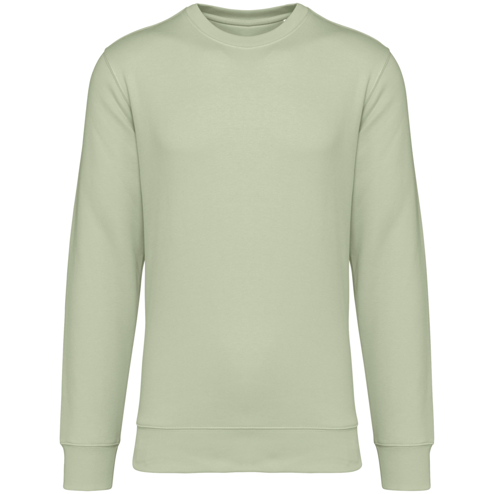Native Spirit Native Spirit BIO Sweater│UNI│Zware kwaliteit│Celadon Green Native Spirit Native Spirit BIO Sweater│UNI│Zware kwaliteit│Celadon Green