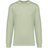 Native Spirit Native Spirit BIO Sweater│UNI│Zware kwaliteit│Celadon Green Native Spirit Native Spirit BIO Sweater│UNI│Zware kwaliteit│Celadon Green