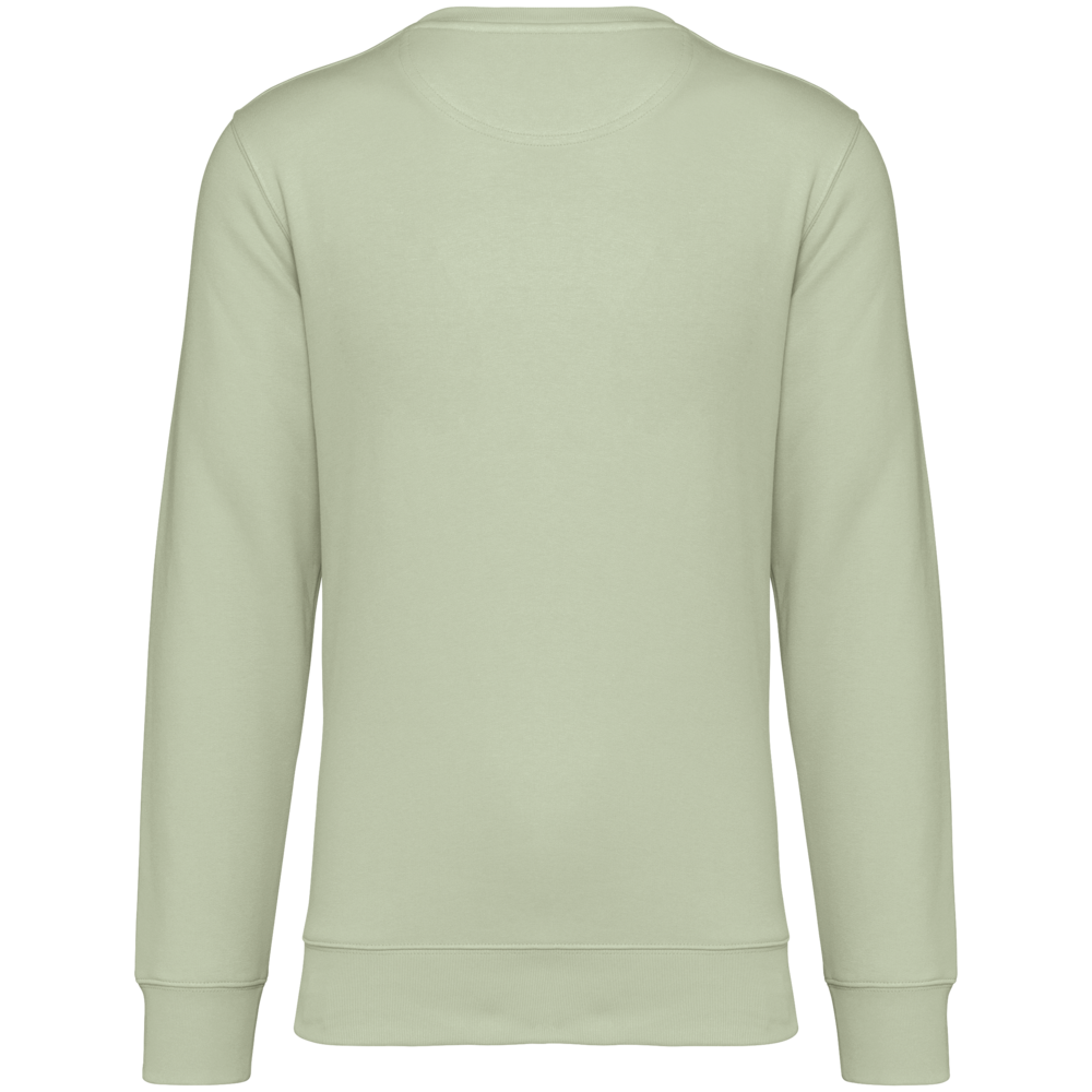 Native Spirit Native Spirit BIO Sweater│UNI│Zware kwaliteit│Celadon Green Native Spirit Native Spirit BIO Sweater│UNI│Zware kwaliteit│Celadon Green