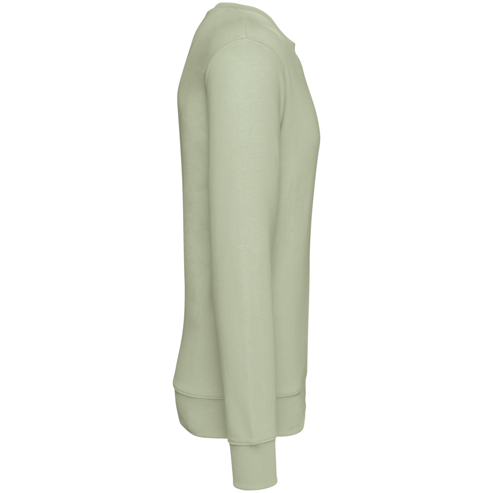 Native Spirit Native Spirit BIO Sweater│UNI│Zware kwaliteit│Celadon Green Native Spirit Native Spirit BIO Sweater│UNI│Zware kwaliteit│Celadon Green