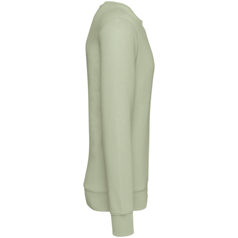 Native Spirit Native Spirit BIO Sweater│UNI│Zware kwaliteit│Celadon Green Native Spirit Native Spirit BIO Sweater│UNI│Zware kwaliteit│Celadon Green