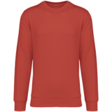 Native Spirit Native Spirit BIO Sweater│UNI│Zware kwaliteit│Paprika Native Spirit Native Spirit BIO Sweater│UNI│Zware kwaliteit│Paprika