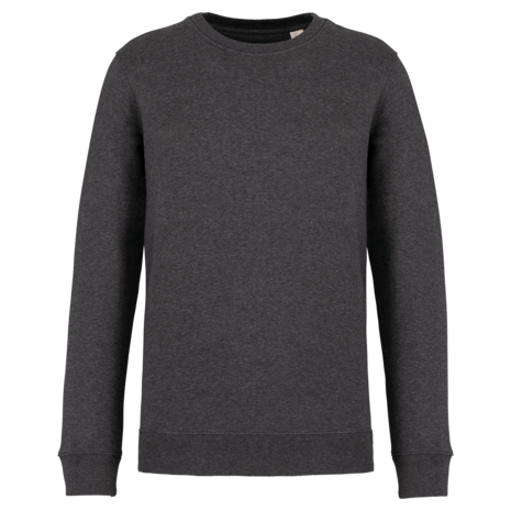 Native Spirit Native Spirit BIO Sweater│UNI│Zware kwaliteit│Volcano Grey gemêleerd Native Spirit Native Spirit BIO Sweater│UNI│Zware kwaliteit│Volcano Grey gemêleerd