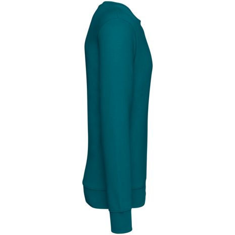 Native Spirit Native Spirit BIO Sweater│UNI│Zware kwaliteit│Peacock Green Native Spirit Native Spirit BIO Sweater│UNI│Zware kwaliteit│Peacock Green