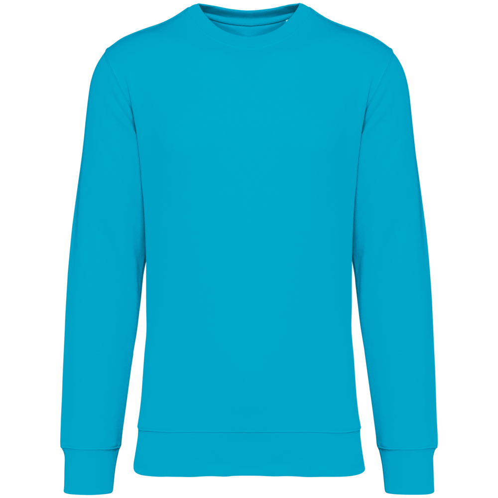 Native Spirit Native Spirit BIO Sweater│UNI│Zware kwaliteit│Light Turquoise Native Spirit Native Spirit BIO Sweater│UNI│Zware kwaliteit│Light Turquoise