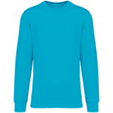 Native Spirit Native Spirit BIO Sweater│UNI│Zware kwaliteit│Light Turquoise Native Spirit Native Spirit BIO Sweater│UNI│Zware kwaliteit│Light Turquoise