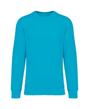 Native Spirit Native Spirit BIO Sweater│UNI│Zware kwaliteit│Light Turquoise Native Spirit Native Spirit BIO Sweater│UNI│Zware kwaliteit│Light Turquoise
